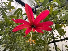 Geen afbeelding ingesteld 